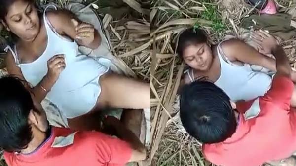 Jawan Village Bhabhi Chudai Video MMS XXX Video
