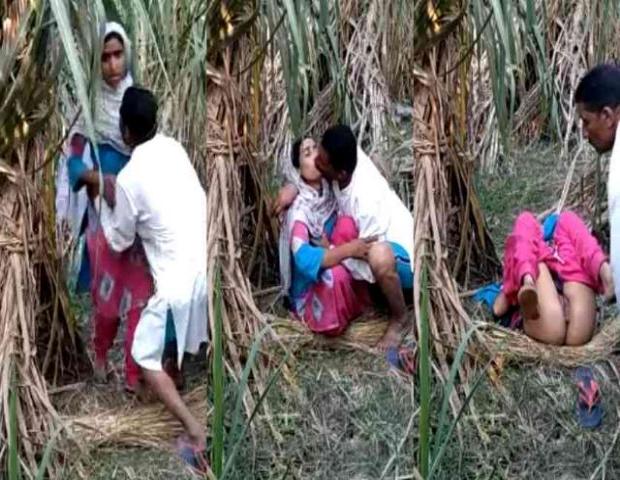 Muslim Young Ladhki Khet Ke Andar Sex Karte Huye MMS